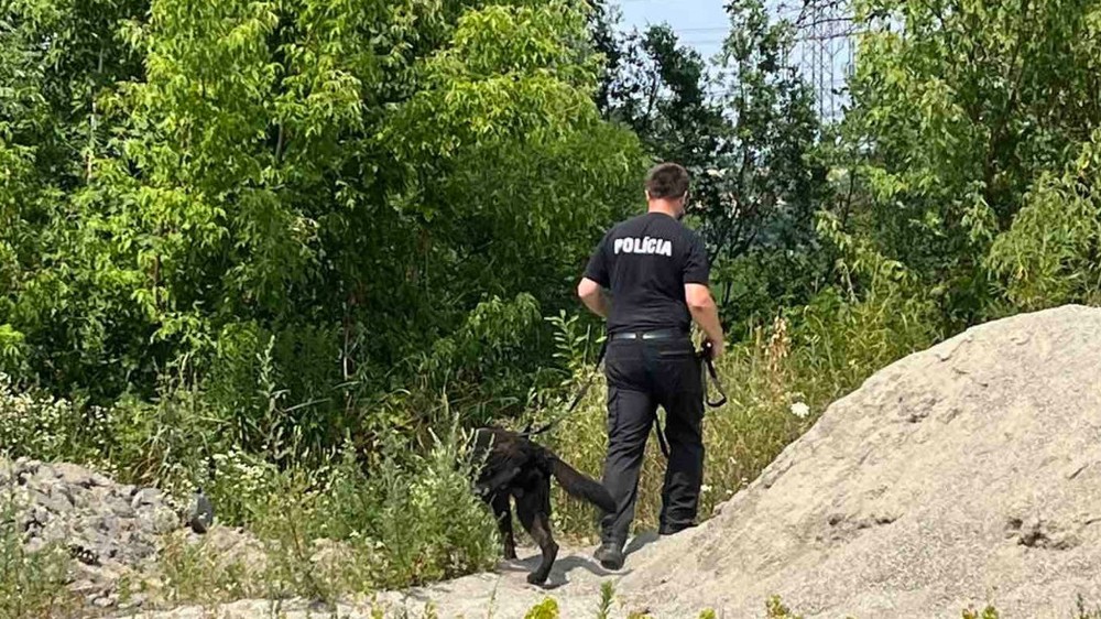 Pátranie po malom chlapcovi 1