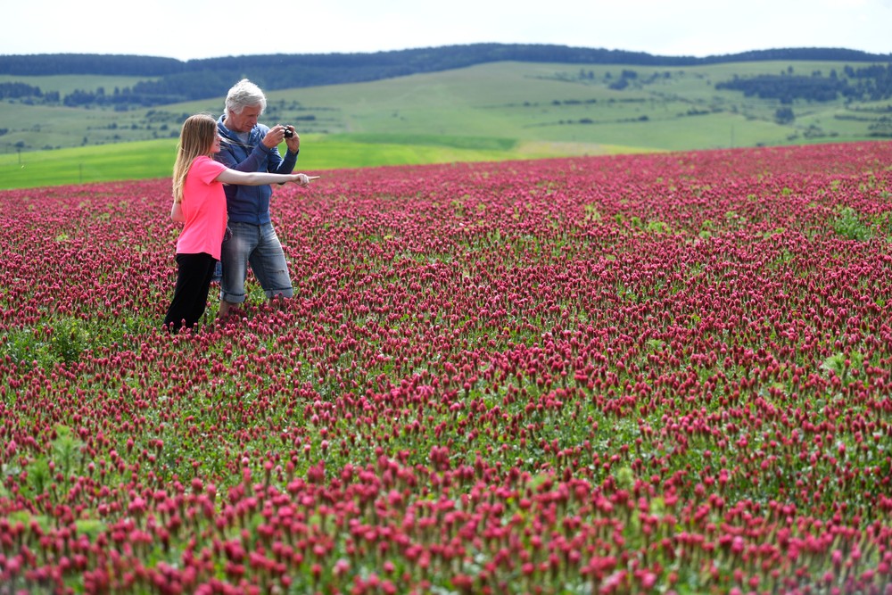 pole02_25_5_2024045917