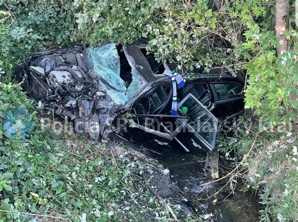 305213744_1502165760205949_8368610204979209735_n (cropped)