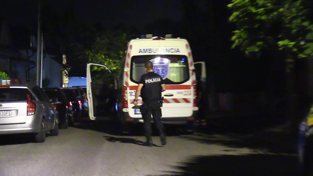 [multi] 071524AXT 8015