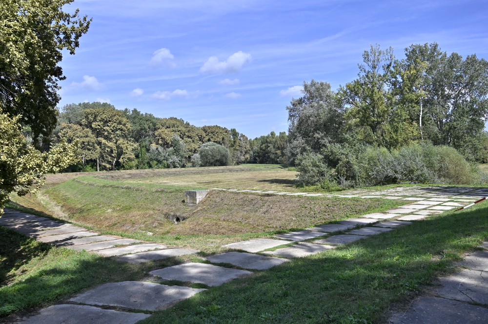 Borsa_polder_Bodrog_002071926