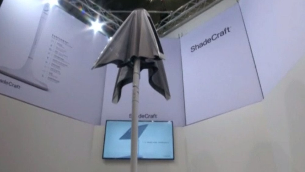 Slnečnica budúcnosti