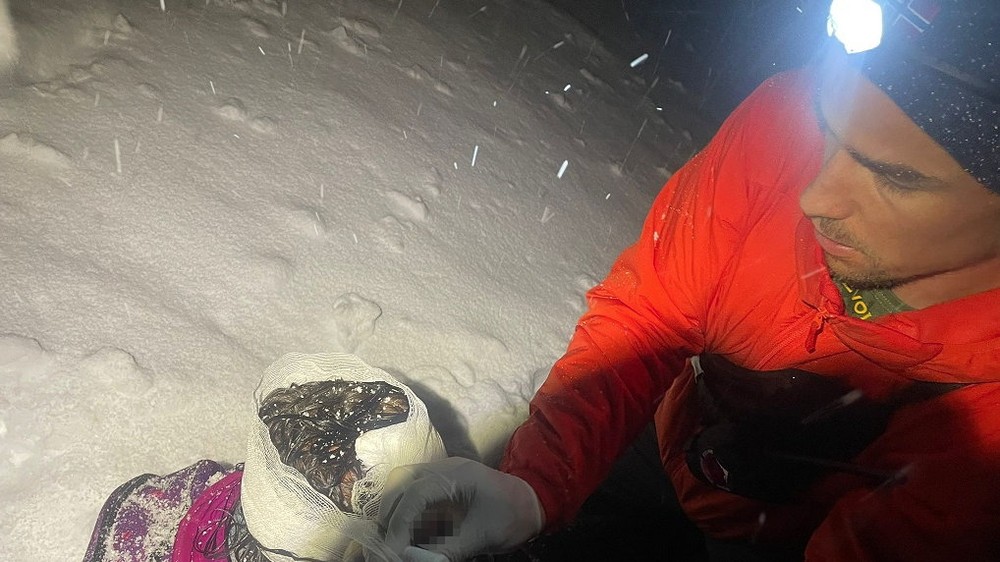 HZS Zranená turistka