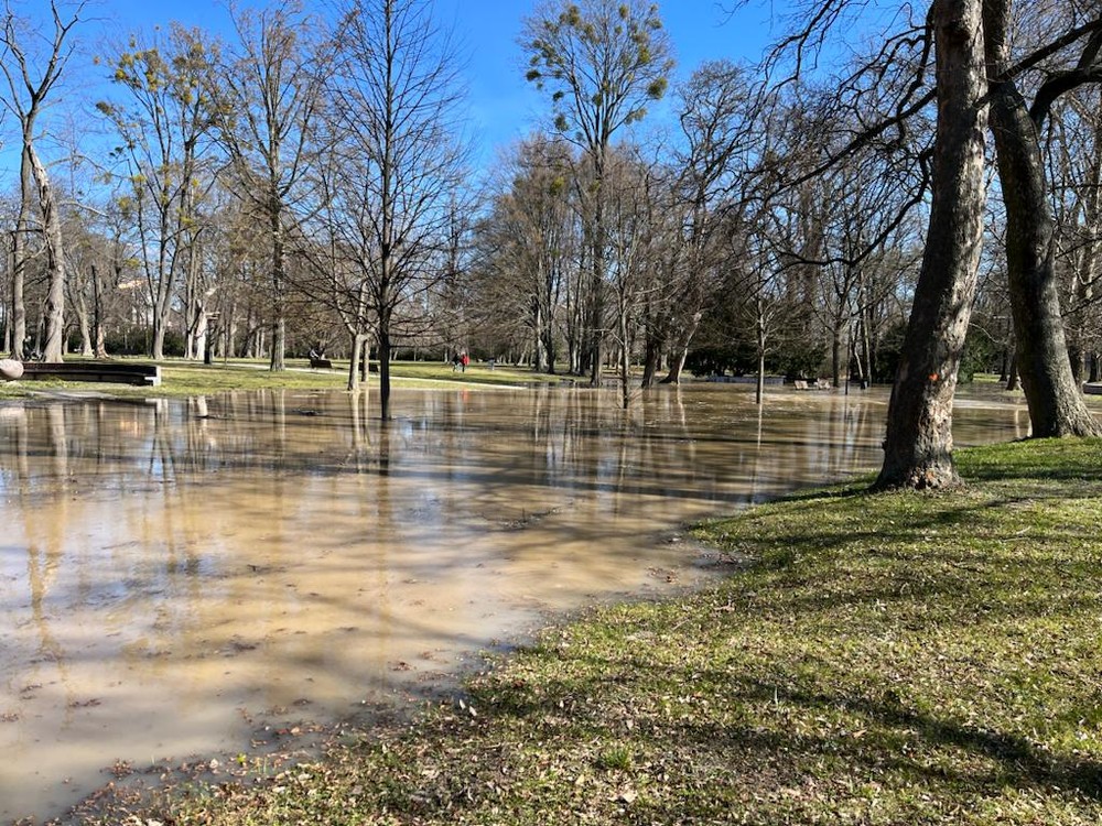 Voda Sad Janka Kráľa