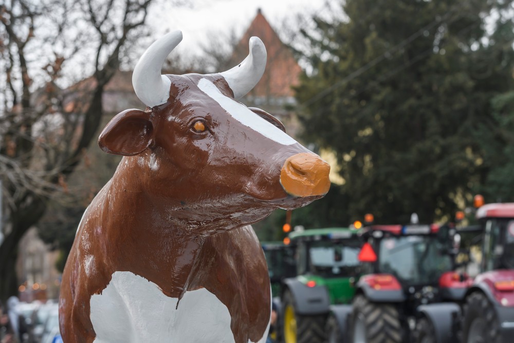 20242202_protesty_farmari_07022135