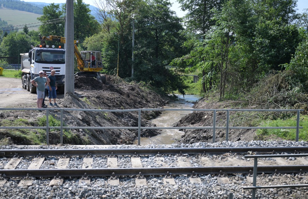 Mnisek14_11_7_2024056910