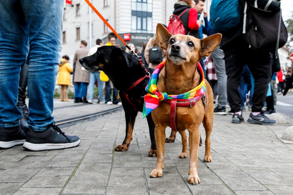 14102022_pochod_5908411