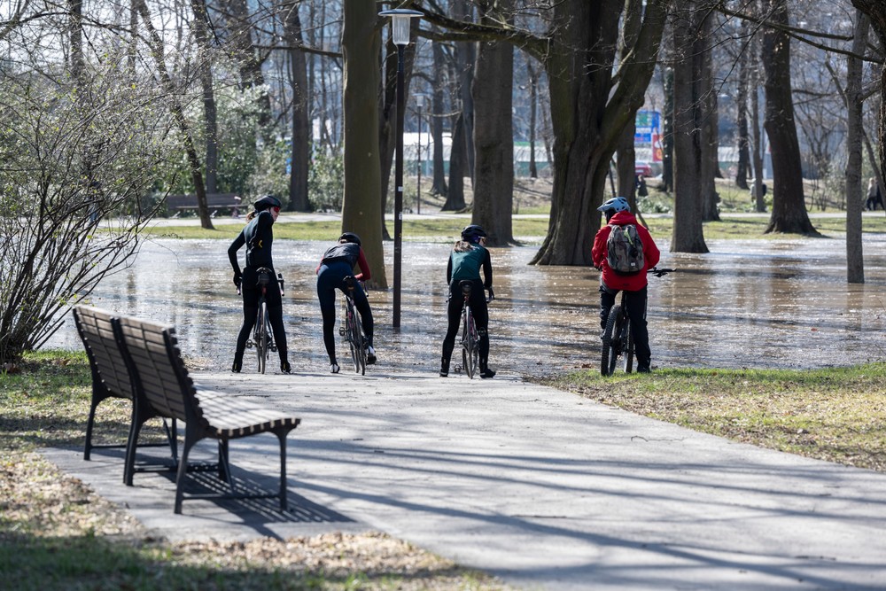 20230312_sadjkrala1943153