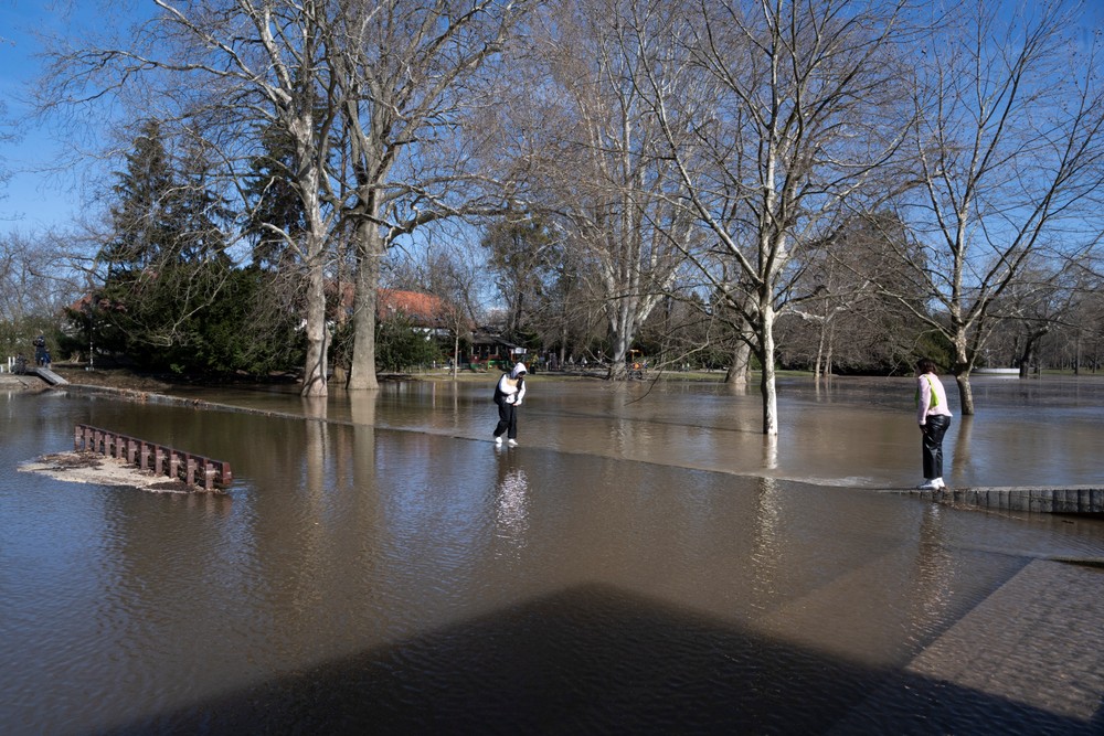 20230312_sadjkrala4943147