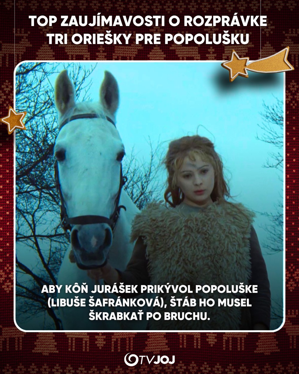 605295856_1222524903310220_3789953982400036159_n