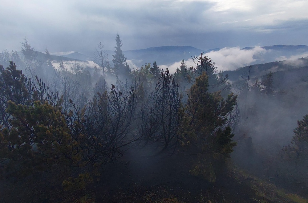 Požiar v Národnom parku Veľká Fatra 4
