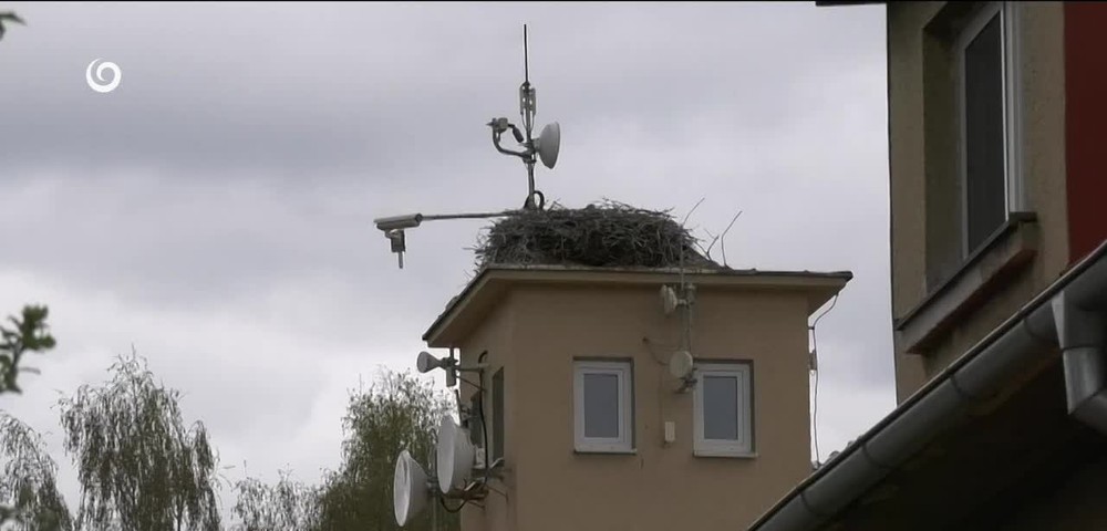 [multi] PANIKA NA SOCIÁLNYCH SIEŤACH 460 (cropped)