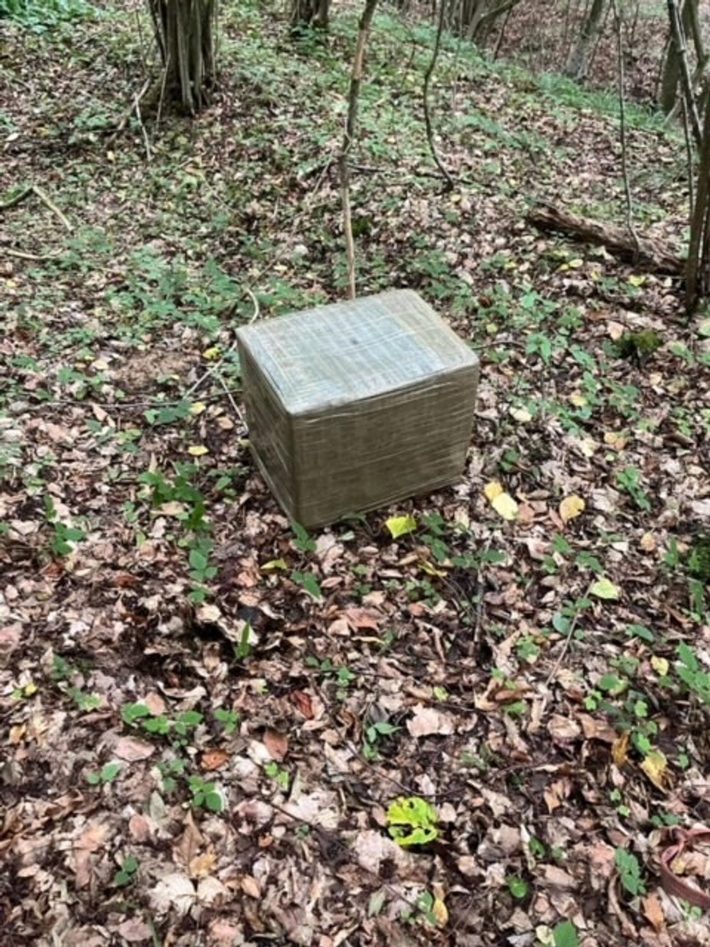 Zadržali päťsto kartónov pašovaných cigariet