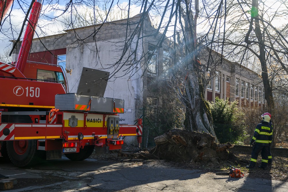 Bratislava škody strom vietor vichrica (2)