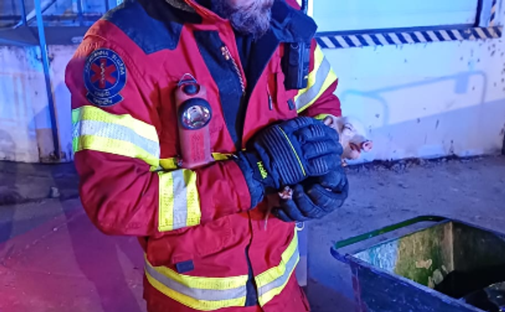 Požiar - Vištuk, záchrana zvierať