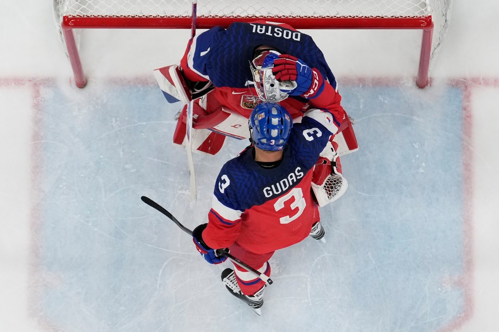 Zápas Česko - Dánsko