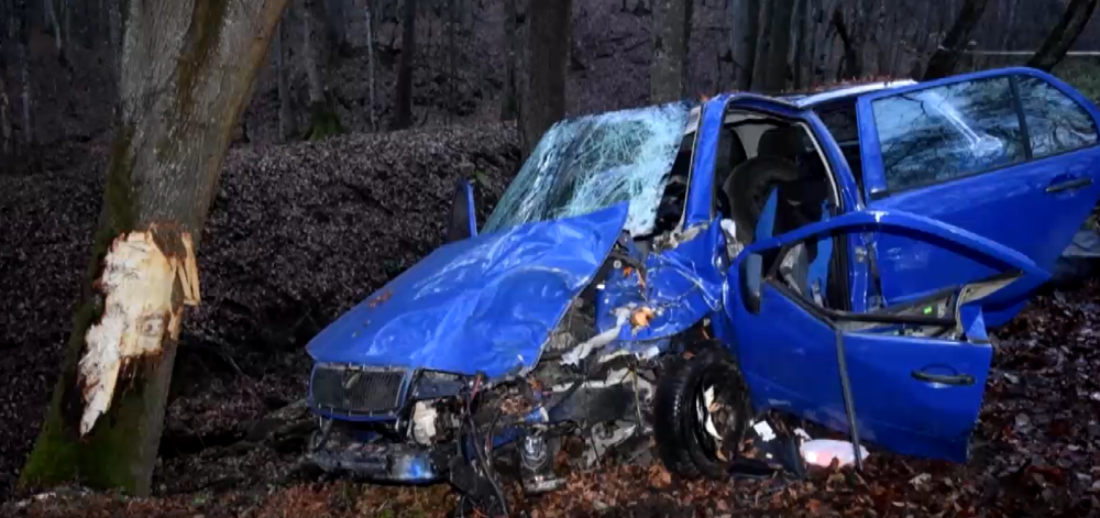 Vodič prešiel do protismeru a narazil do stromu