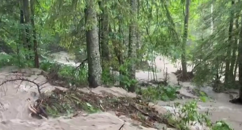 Snímka obrazovky 2024-07-11 212016