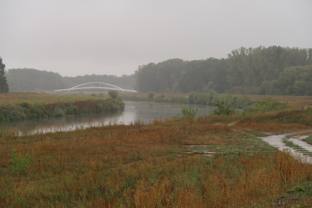 20240913_Rieka_Morava_4071924