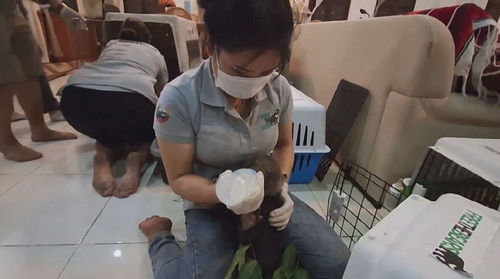 zachranene medvede (5)