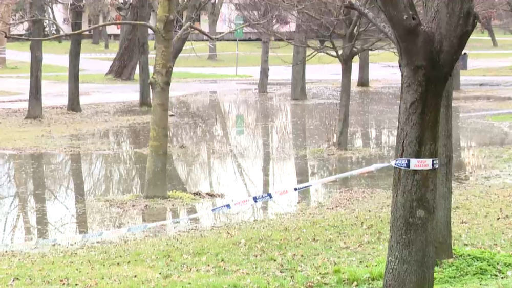 Screenshot 2023-03-13 164510