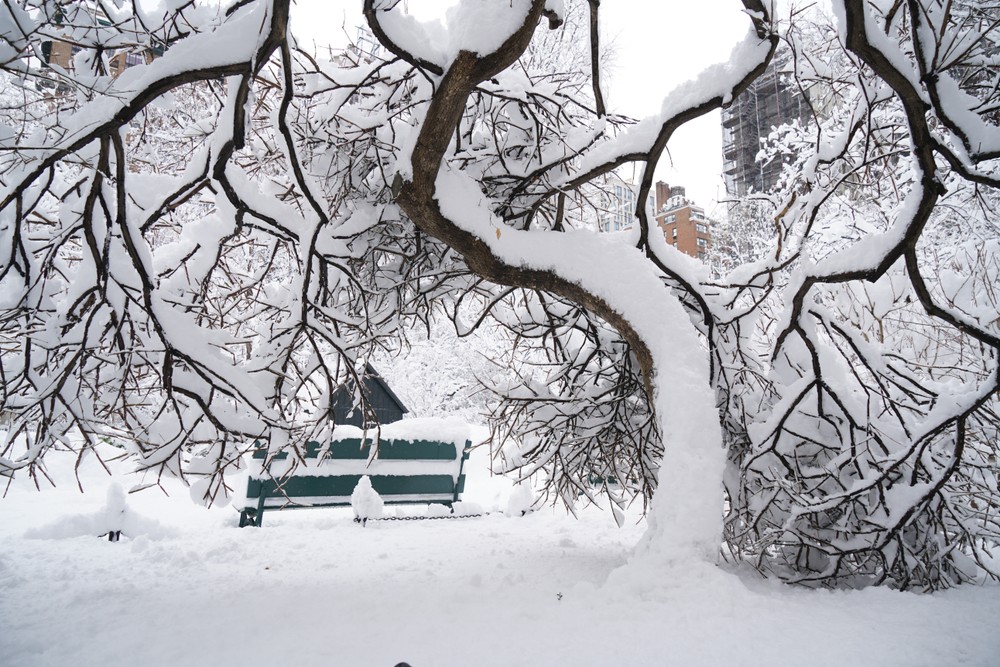 Winter_Weather_New_York123583196767