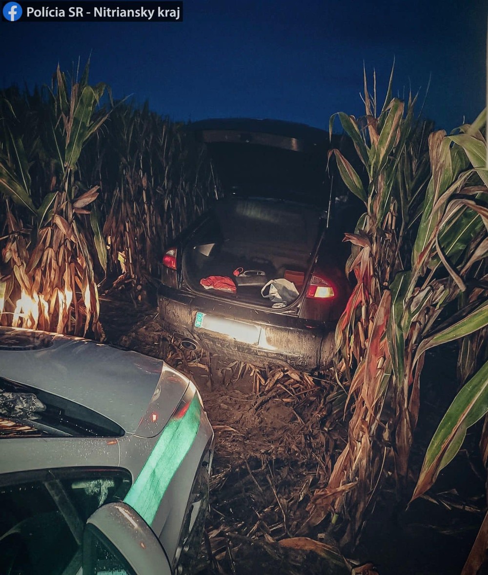 300813249_1195773867634282_6060112454414317661_n