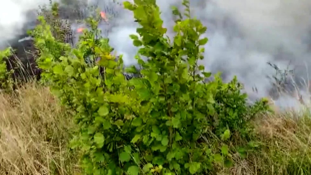 [multi] VSTUP Poziar od vlaku 374