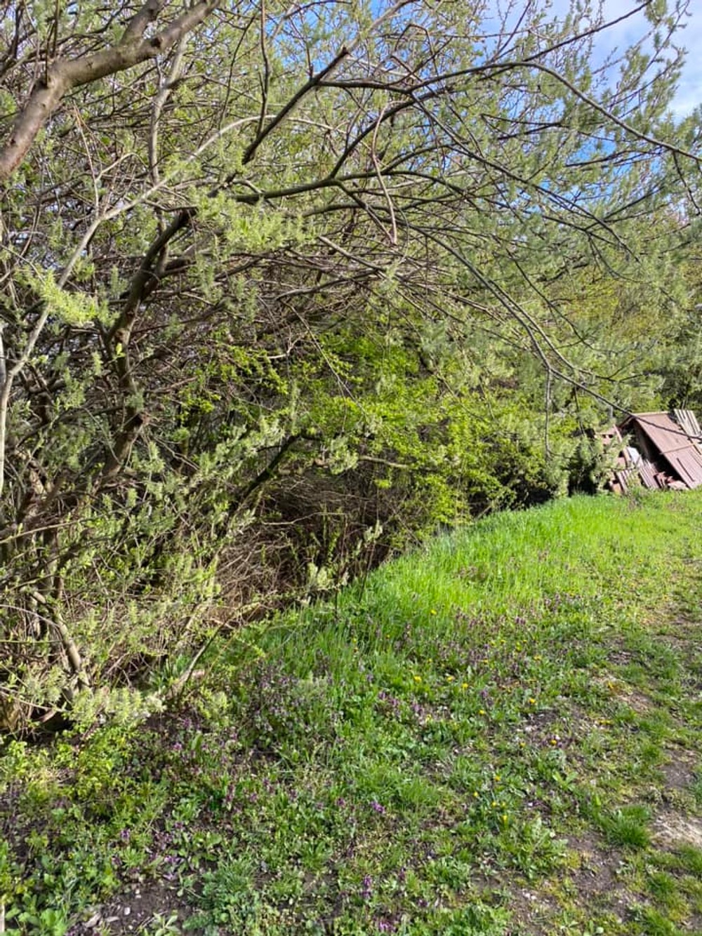 Pátranie po nezvestnom