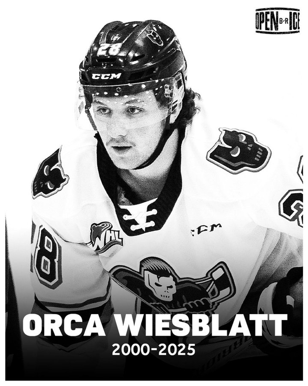 Orca Wiesblatt
