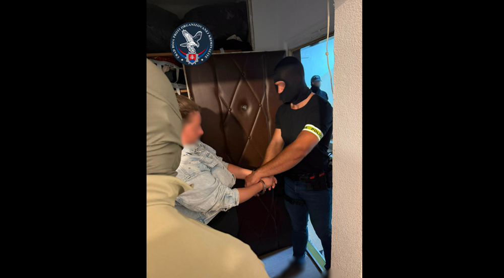 Policajný zásah 