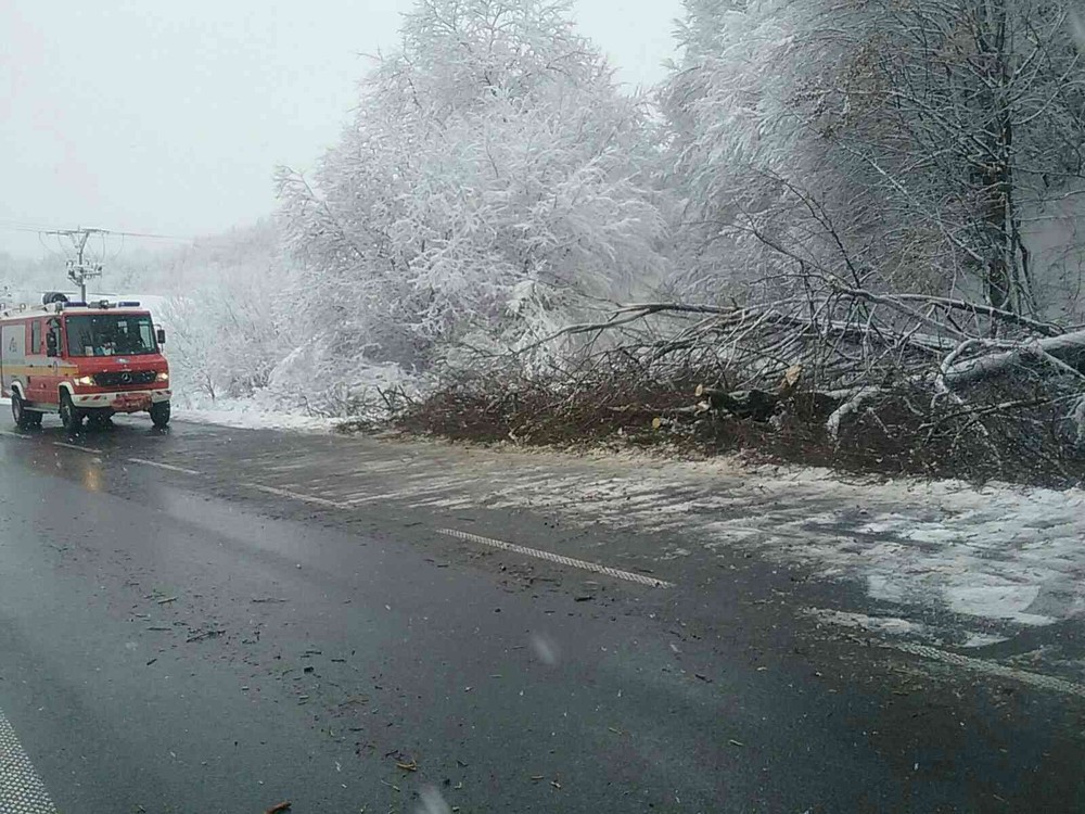 Snehová kalamita na východe Slovenska