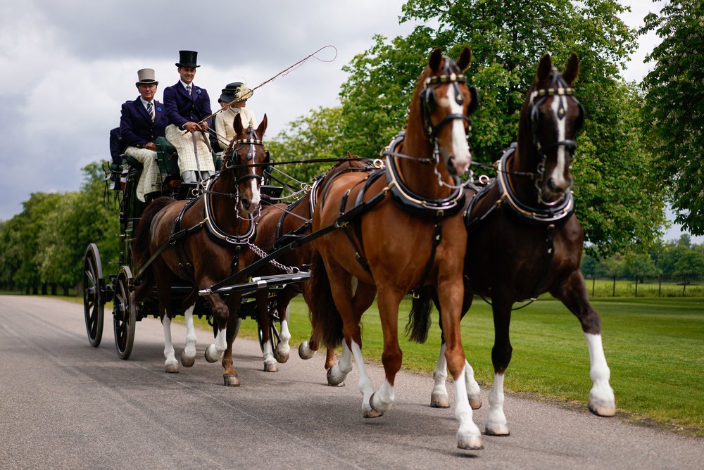kráľovská konská prehliadka pri hrade Windsor 9