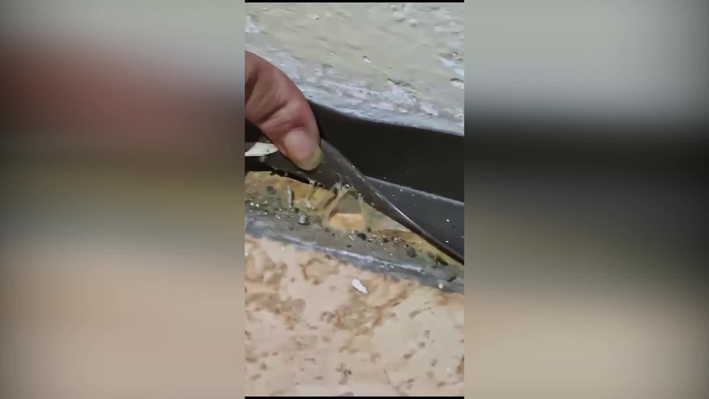 [multi] 082024SRQ 21074