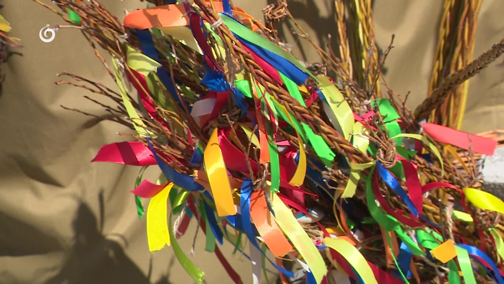 [multi] 041925QHT 11353