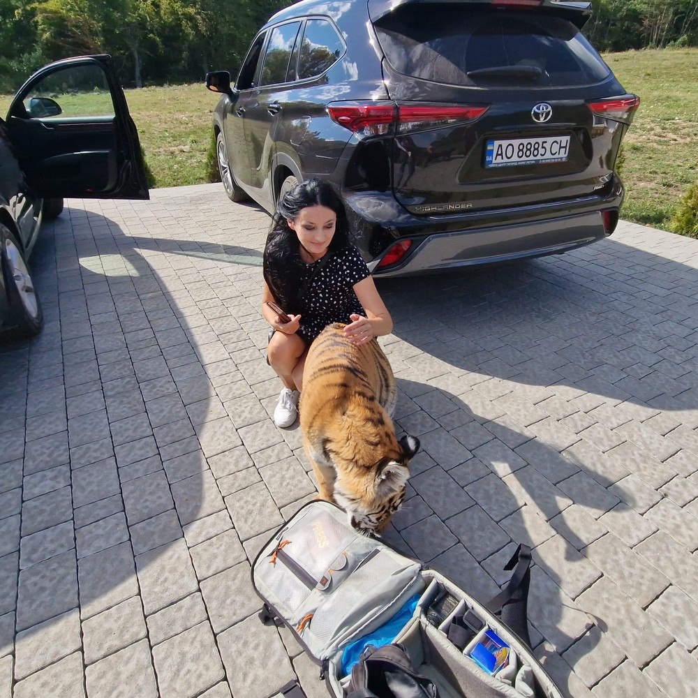 IMG-e05f368efb7ecf4ea3768d6c26221752-V