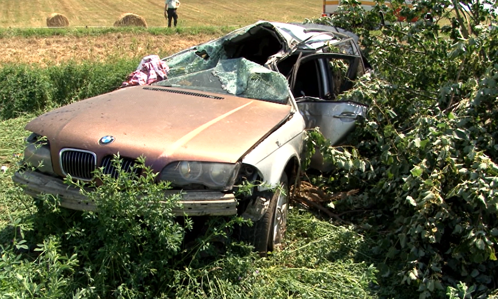 Pri silnom náraze vyvrátilo strom aj s koreňmi