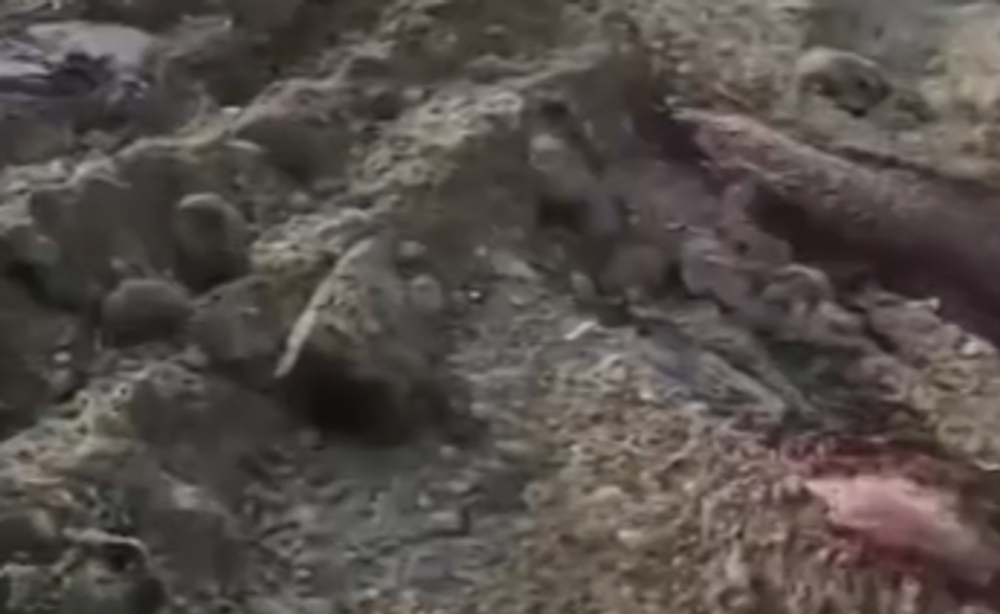 Vyvierajúca krv zo zeme 3