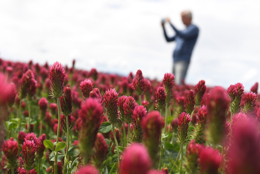 pole08_25_5_2024045915