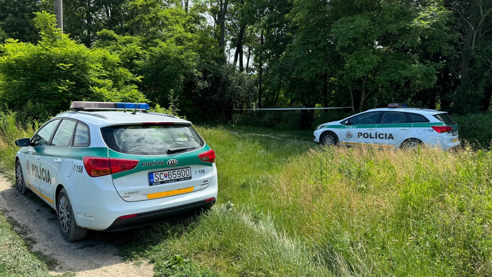 Mŕtvola v Malom Dunaji