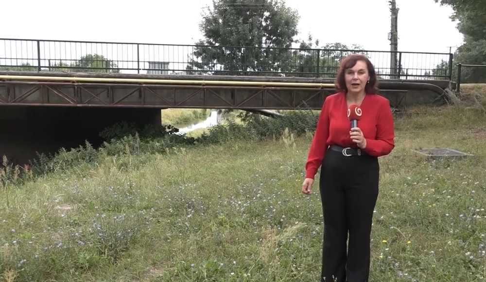 Screenshot 2024-08-11 084637