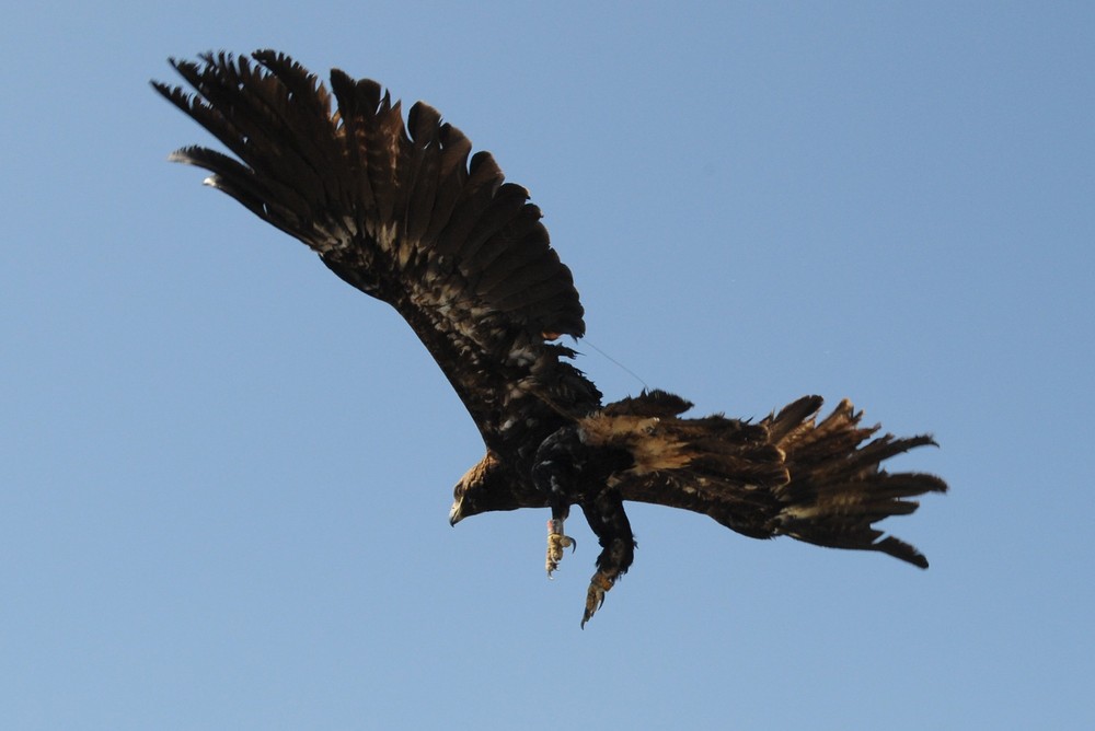 orol02_10_5_20120942147