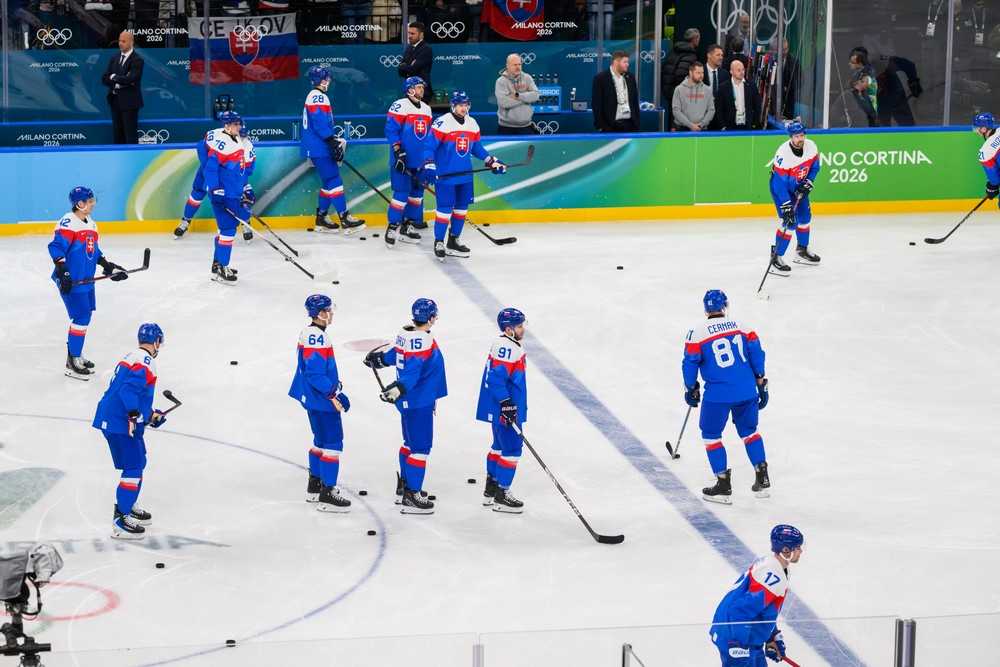 Zápas Slovensko - Nemecko