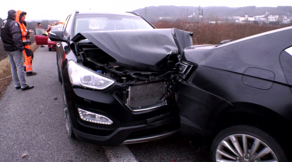 Cez vozovku plnú vozidiel sa prehnalo stádo jeleníc