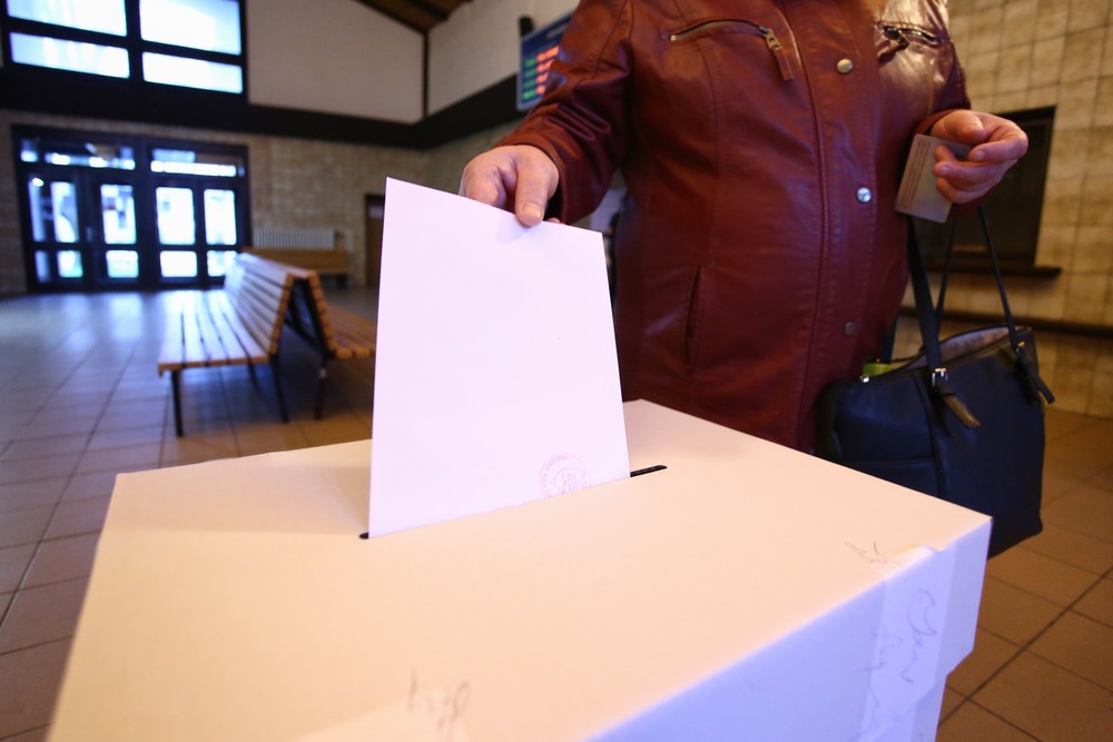 voľby 2024 il hlasovanie