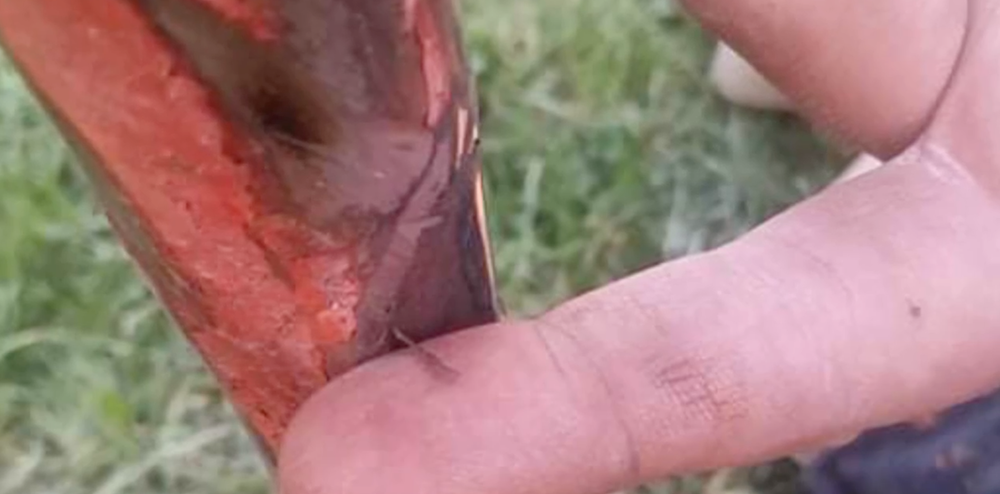 Nebezpečné ihrisko pre deti