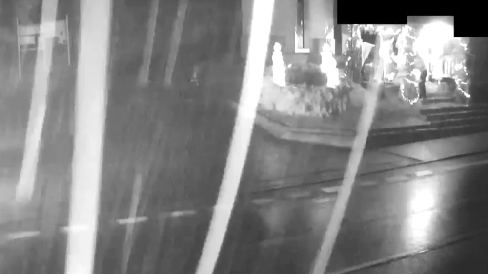 [multi] Ukradnuta ovca 11371