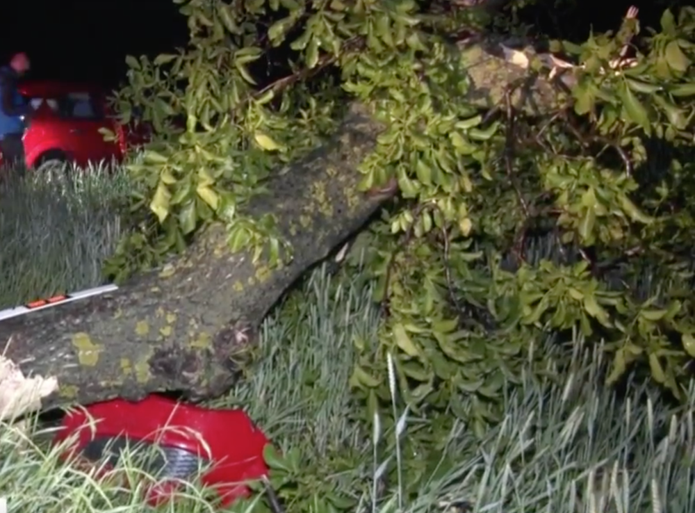 Smrteľný náraz  za obcou Poruba pod Vihorlatom 