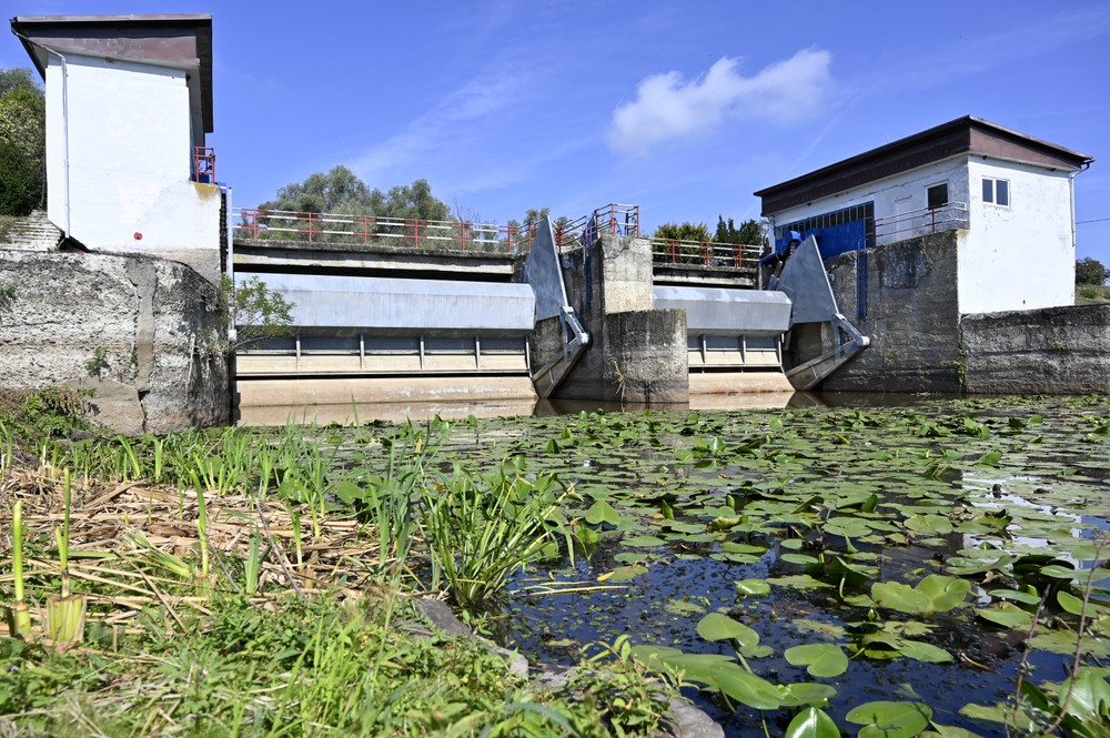 Besa_suchy_polder_001071917
