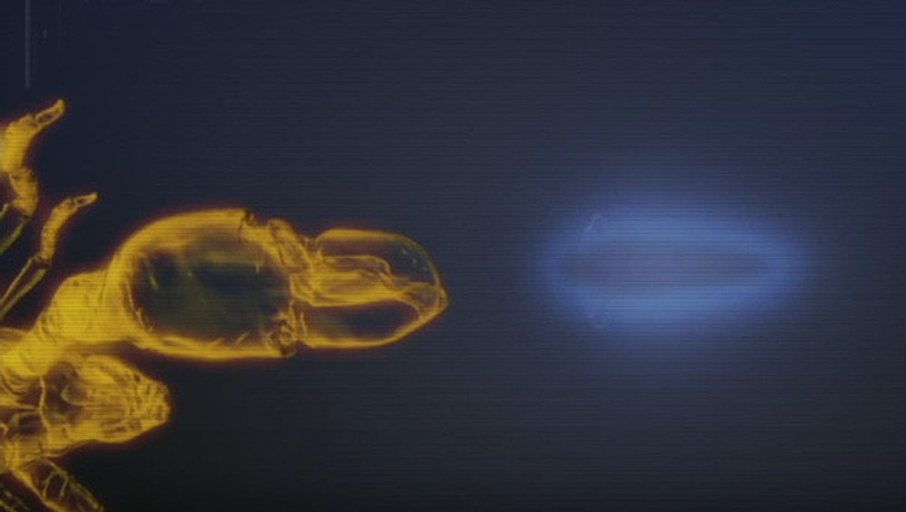 Pink Flloyd shrimp 3